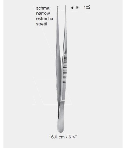 Queen+  Düz Dişli Penset Standart 16Cm - 43-634A