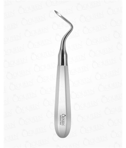 Queen  Düz Apekso Heidbrink Elevatör Friedman1 2-5Mm 16Cm - Q325-601