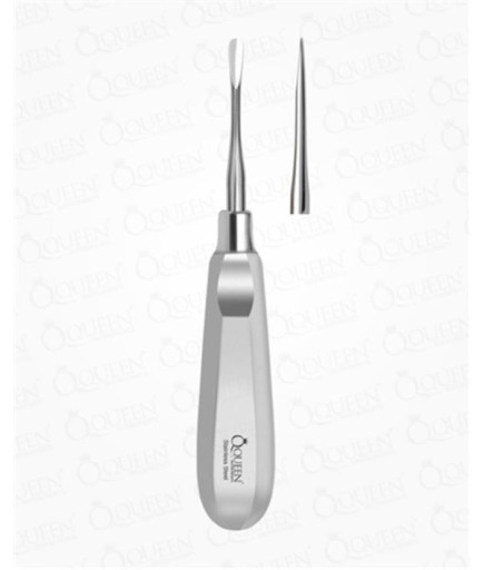 Queen  Düz Lüxatör Elevatör Lüxatör 3-5Mm 16Cm - Q325-356
