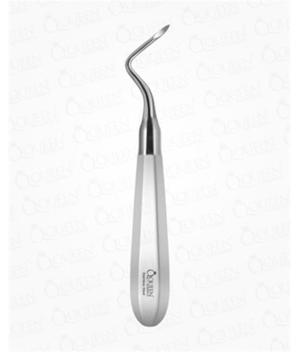 Queen  Düz Apekso Heidbrink Elevatör Friedman1 2-5Mm 16Cm - Q325-597