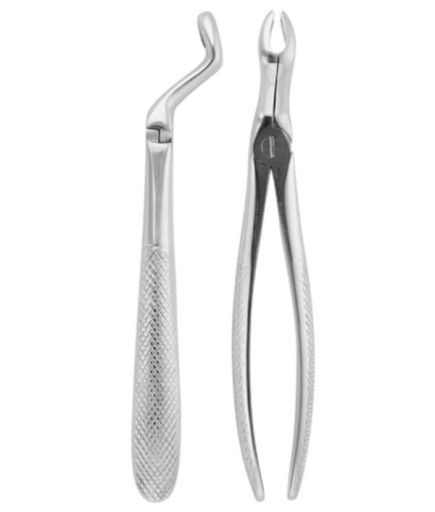 Savana  Üst Yirmi Yaşlar Davyesi Fig- 67 7Mm 17 3Cm - S305-082