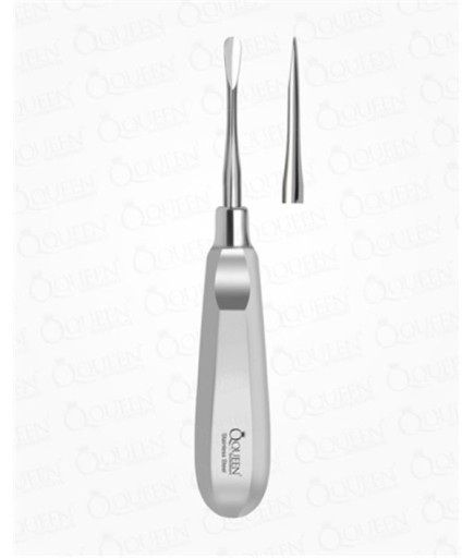 Queen  Düz Lüxatör Elevatör Lüxatör 4-5Mm 16Cm - Q325-360