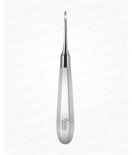 Queen  Düz Apekso Heidbrink Elevatör Friedman1 2-5Mm 16Cm - Q325-593