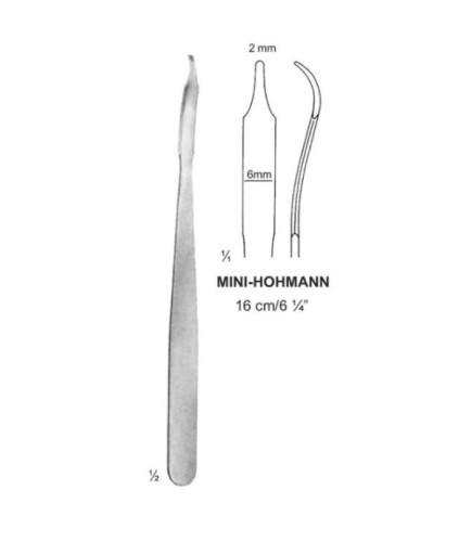 Queen+  Ekartör Mini Hohman 16Cm - 212-2565