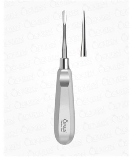 Queen  Düz Lüxatör Elevatör Lüxatör 5Mm 16Cm - Q325-362