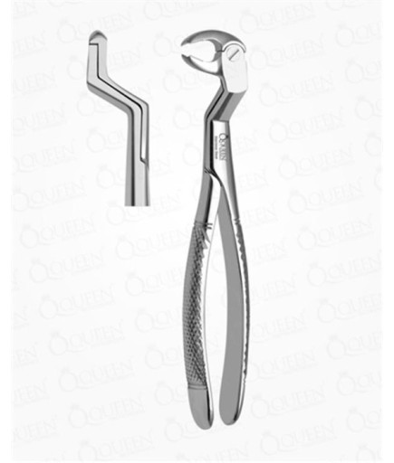 Queen  Alt 20 Yaşlar Davyesi Fig- 22 ½R 22 5Cm - Q305-133