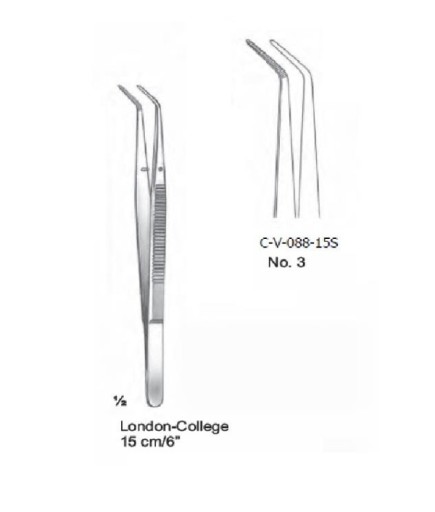Queen+  Presel Fig-London-College - C-V-088-15S