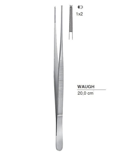 Queen+  Düz Dişli Penset Waugh  15Cm - 40-580X