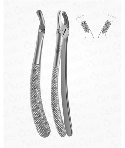 Queen  Üst Sağ Molar Davyesi Fig- 17 6 75Mm 16Cm - Q305-018