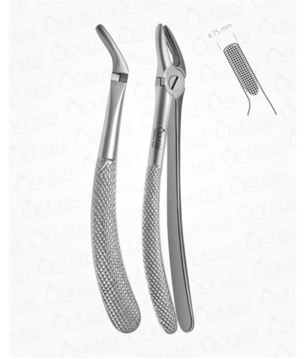 Queen  Üst Premolar Davyesi Fig- 7 11 5Cm - Q305-008