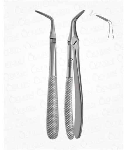 Queen  Alt Kök Davyesi Fig- 46L 2Mm 17Cm - Q300-068