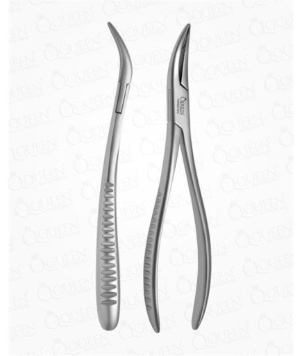 Queen  Üst Kök Davyesi Fig- WITZEL 16 5Cm - Q305-134