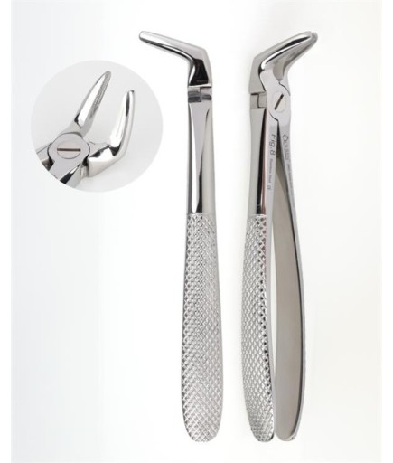 Queen  Alt Premolar Davyesi Fig- 8 4 5Mm 15Cm - Q300-010