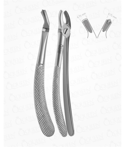 Queen  Üst Sol Molar Davyesi Fig- 18 6 75Mm 16Cm - Q305-020