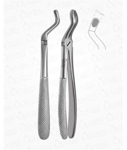 Queen  Üst Yirmi Yaşlar Davyesi Fig- 67A 7 5Mm 17 3Cm - Q305-082