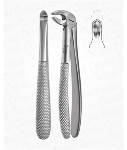 Queen  Alt Molar Davyesi Fig- 22 6Mm 14Cm - Q305-026
