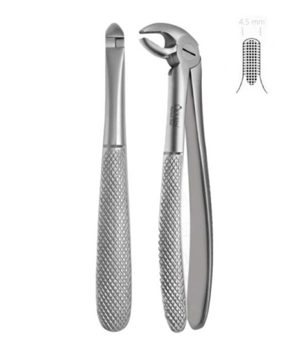 Queen  Alt Premolar Davyesi Fig- 13 4 5Mm 14Cm - Q300-012