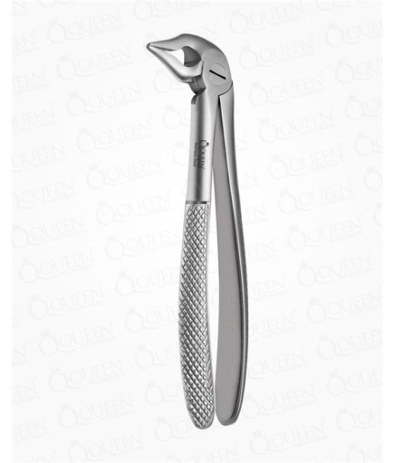 Queen  Alt Kök Davyesi Fig- 333S 14 5Cm - Q305-138