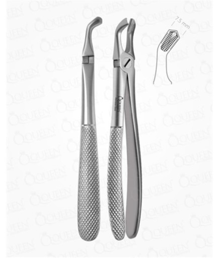 Queen  Alt Yirmi Yaşlar Davyesi Fig- 79 7 5Mm 16 2Cm - Q305-104