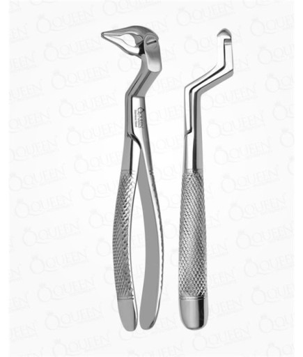 Queen  Alt Sağ Molar Ve Yirmi Yaş Köki Davyesi Fig- 133 R - Q305-145