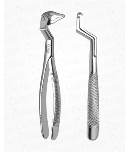 Queen  Alt Sol Molar Ve Yirmi Yaş Köki Davyesi Fig- 133 L - Q305-143