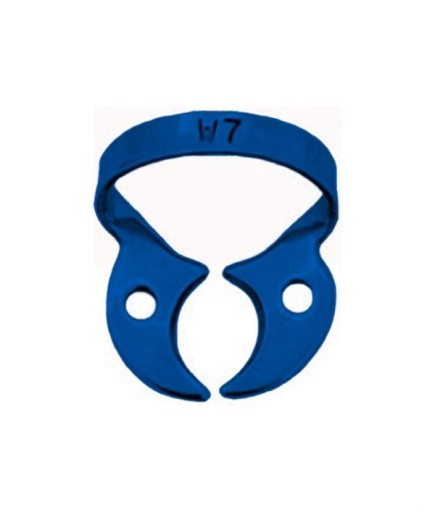 Queen  Rubber Dam Aleti Fig- W7 - Q-2455